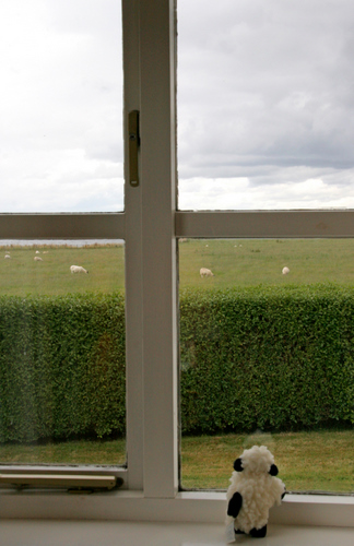 Willow Cottage, Whitefarland, Isle of Arran